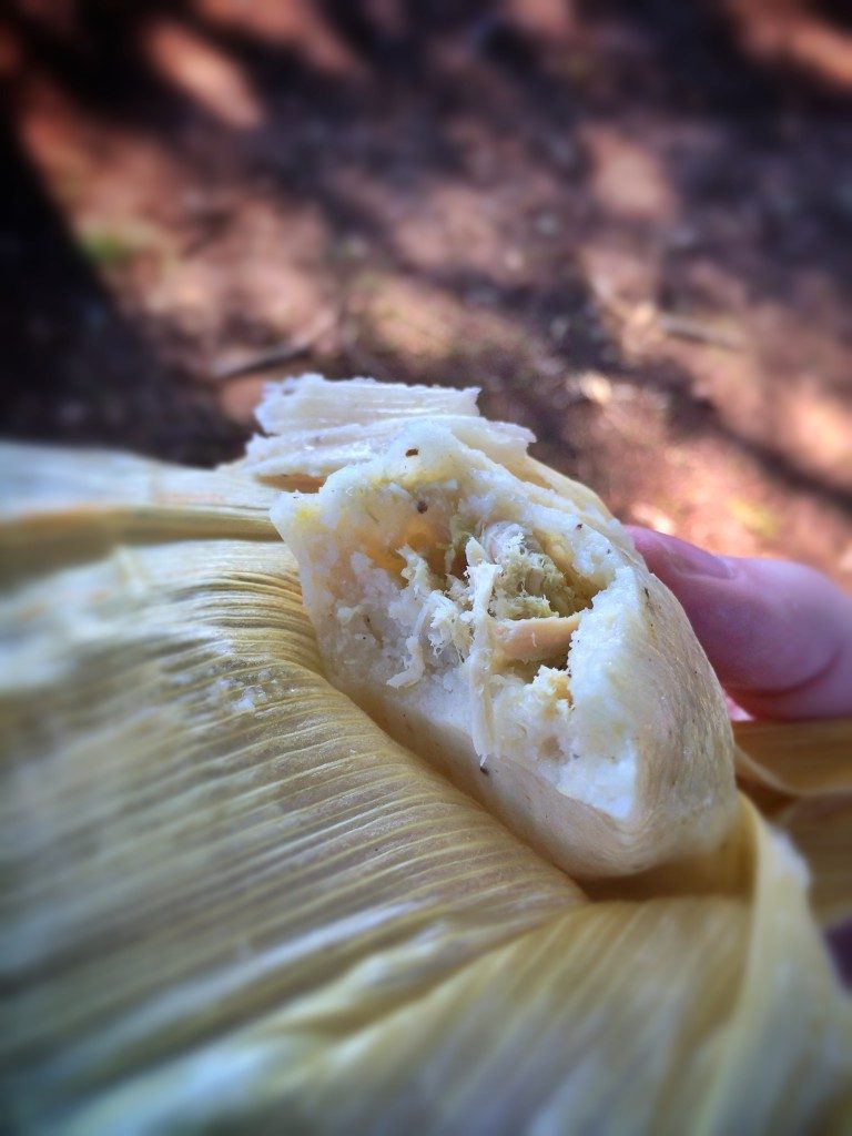 tamale-new-albany-ms_Snapseed-768x1024